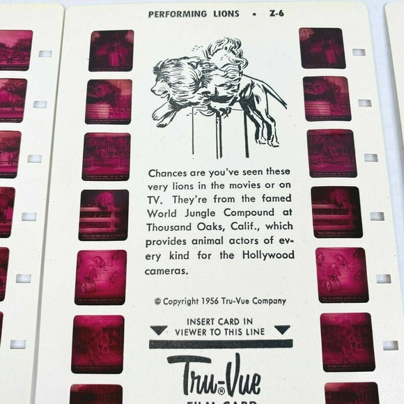 VTG Tru Vue Film 3 Cards Performing Animals ZA-1 - Picture 3 of 5
